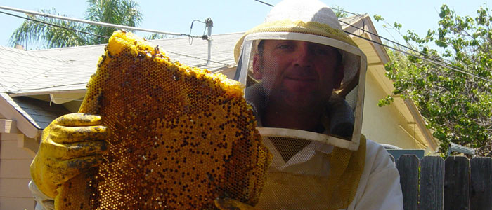 San Diego Bee Removal Guys Tech Michael