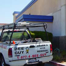 San Diego Bee Removal Guys Service Truck